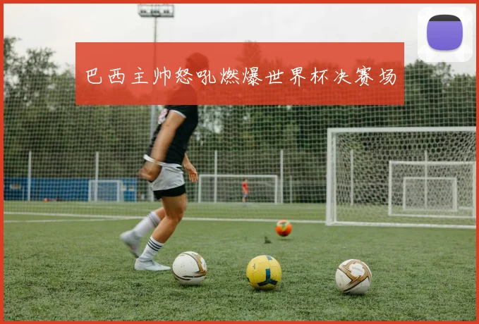 巴西主帅怒吼燃爆世界杯决赛场