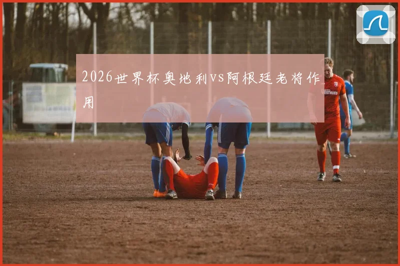 2026世界杯奥地利vs阿根廷老将作用