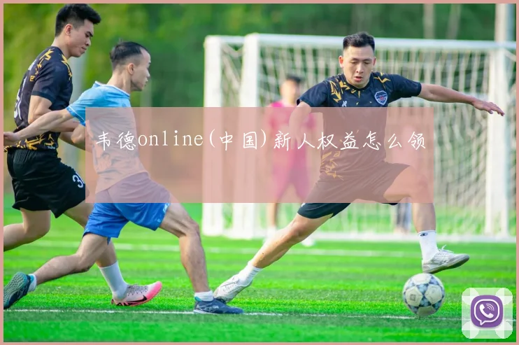 韦德online(中国)新人权益怎么领